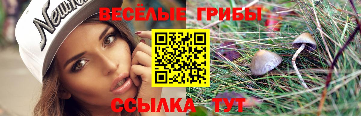 Ачхой-Мартан  Галлюциногенные грибы прущие грибы  купить наркоту  Вход с VPN 